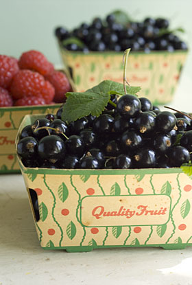black_currants-8 punnets full of summer fruits