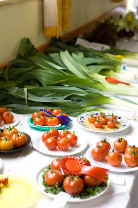 aylburton_show1 Aylburton Village Horticultural Show 2008