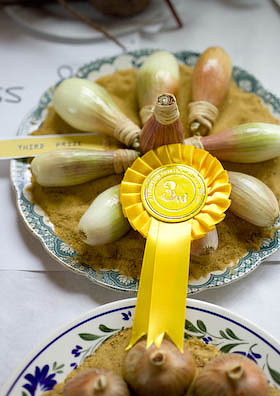 aylburton_show5 Show shallots