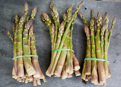 Bundles of English asparagus May 09