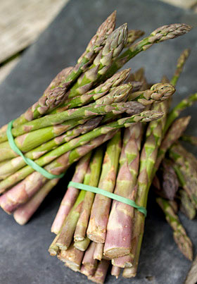 Herefordshire asparagus