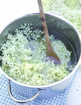 making elderflower cordial