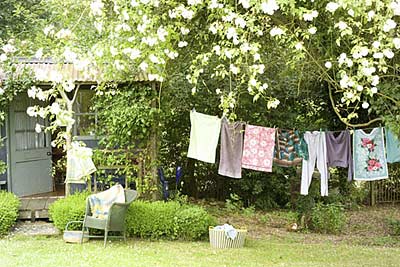 washing line and summer house