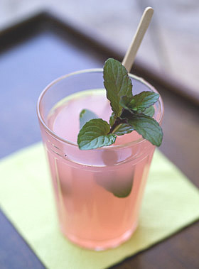 a tumbler of rhubarb and angelica cordial