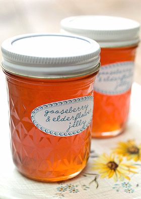 gooseberry and elderflower jelly canned and ready for the store cupboard