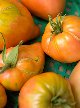 pink heartshaped tomatoes