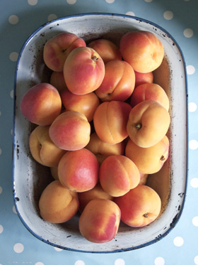 rose blushed apricots from France