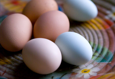 the subtle palette of fresh eggs