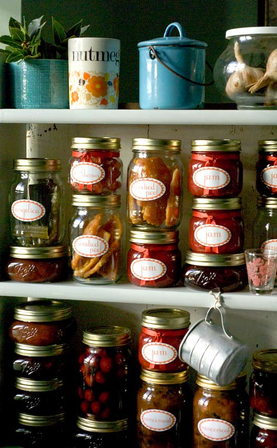 shelves laden with comestibles